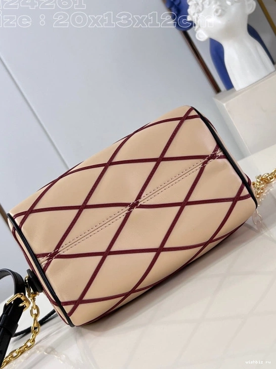 WIS VUITTON BANDOULIÈRE SPEEDY 20 LOUIS 0307